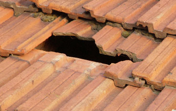 roof repair Tibberton